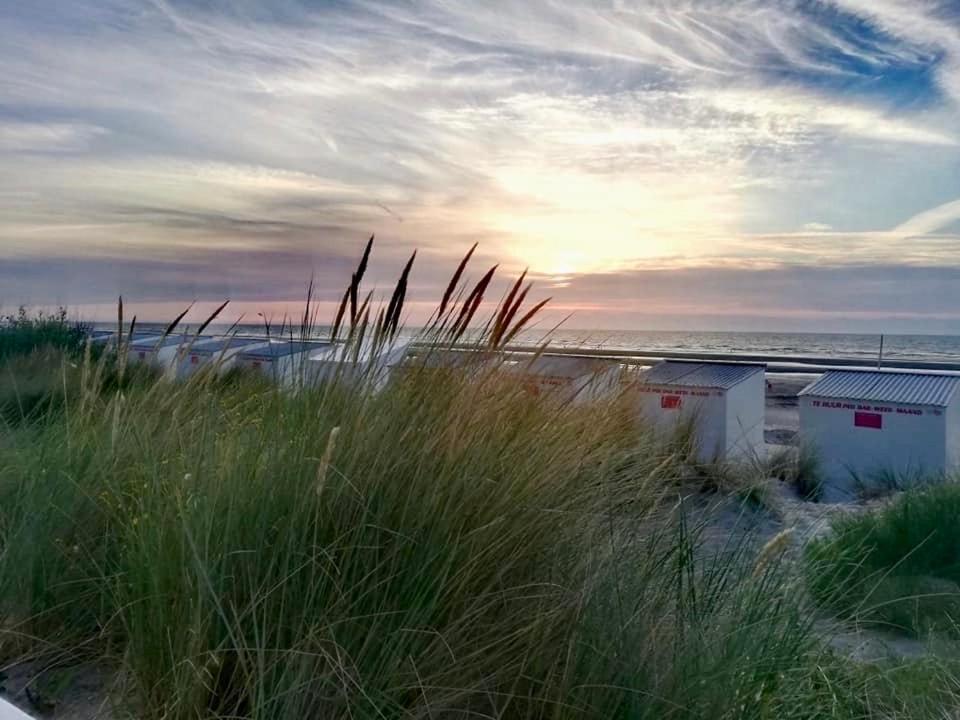 Seayousoon Nieuwpoort-Bad Bagian luar foto